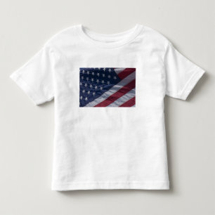 Camiseta Infantil Bandeira americana.
