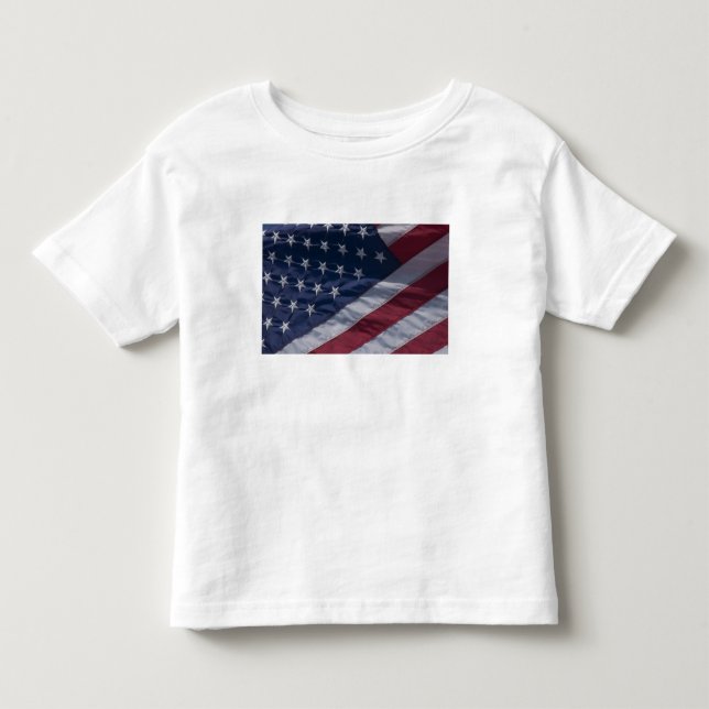 Camiseta Infantil Bandeira americana. (Frente)