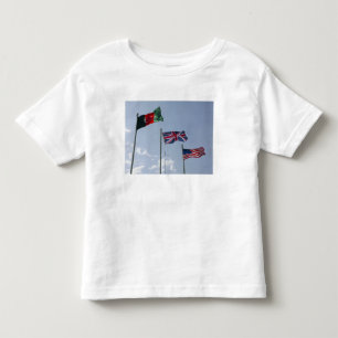 Camiseta Infantil Bandeira BRITÂNICA entre o afegão e bandeiras do