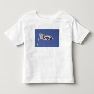 Camiseta Infantil Bandeira da Coreia do Sul