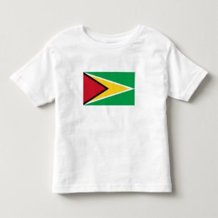 Camiseta Infantil Bandeira da Guiana