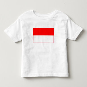 Camiseta Infantil Bandeira da Indonésia