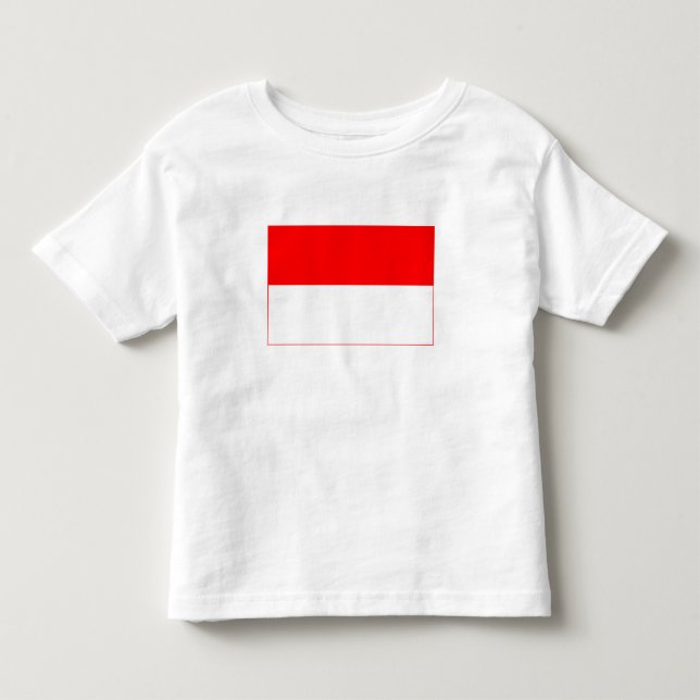 Camiseta Infantil Bandeira da Indonésia (Frente)