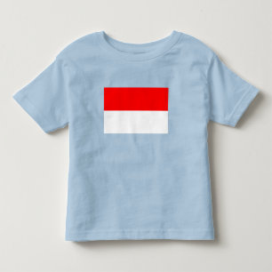 Camiseta Infantil Bandeira da Indonésia
