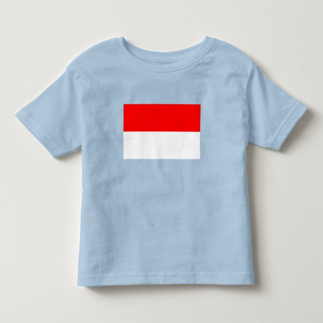 Camiseta Infantil Bandeira da Indonésia (Frente)