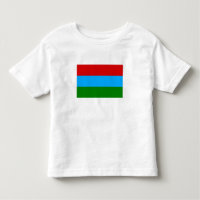 Bandeira da República da Carélia