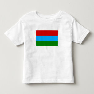Camiseta Infantil Bandeira da República da Carélia