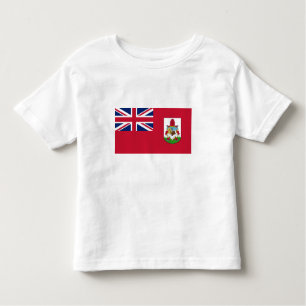 Camiseta Infantil Bandeira das Bermudas Patriótica