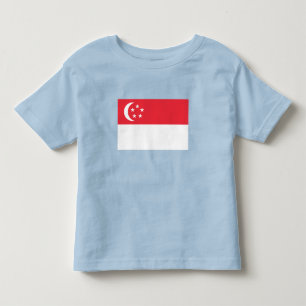 Camiseta Infantil Bandeira de Singapura