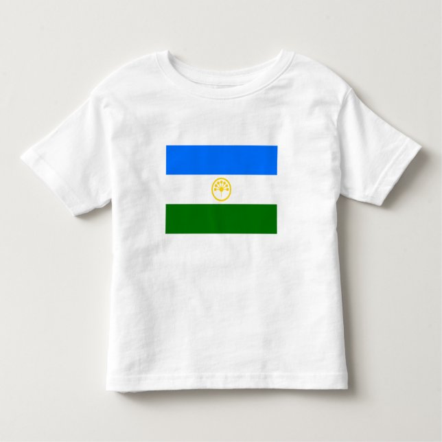 Camiseta Infantil Bandeira do Bashkortostan (Frente)