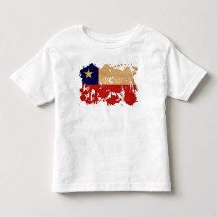 Camiseta Infantil Bandeira do Chile