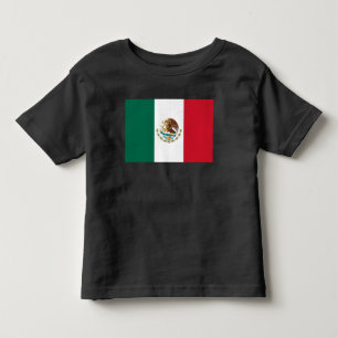 Camiseta Infantil Bandeira do México, Bandeira da República Mexicana