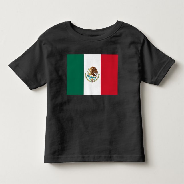 Camiseta Infantil Bandeira do México, Bandera da República Mexicana (Frente)