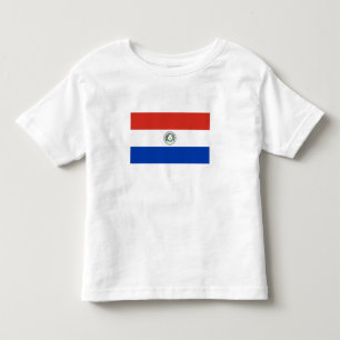 Camiseta Infantil Bandeira do Paraguai