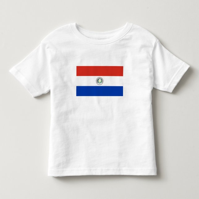 Camiseta Infantil Bandeira do Paraguai (Frente)