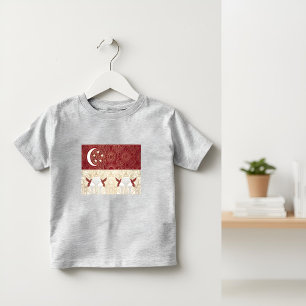 Camiseta Infantil Bandeira do Patrimônio Art Déco Singapura Desi