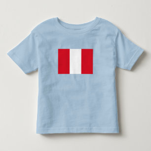 Camiseta Infantil Bandeira do Peru