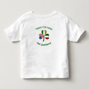 Camiseta Infantil Bandeira do Trevo Personalizada Ítalo-Irlandesa Am