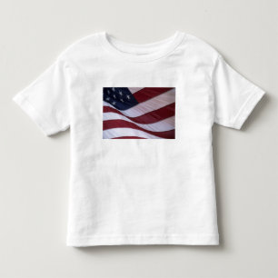 Camiseta Infantil bandeira dos EUA, Carolina do Norte, EUA