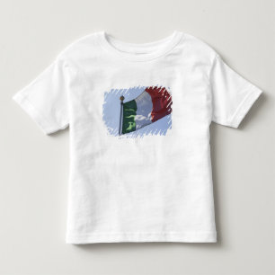 Camiseta Infantil Bandeira Irlandesa