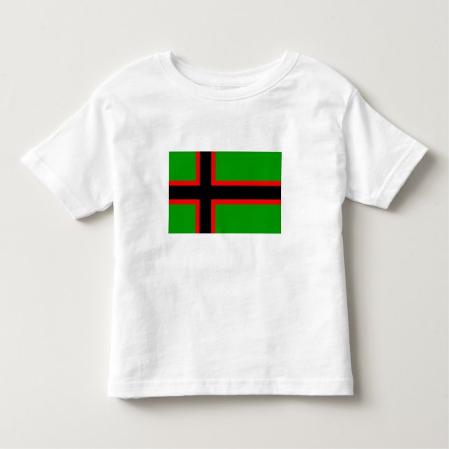 Camiseta Infantil Bandeira Nacional da Carélia (Frente)