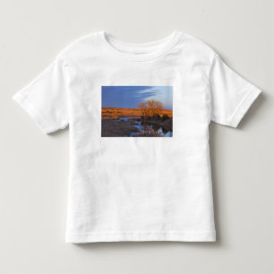 Camiseta Infantil Banhado pela luz do pôr do sol o rio Calamus