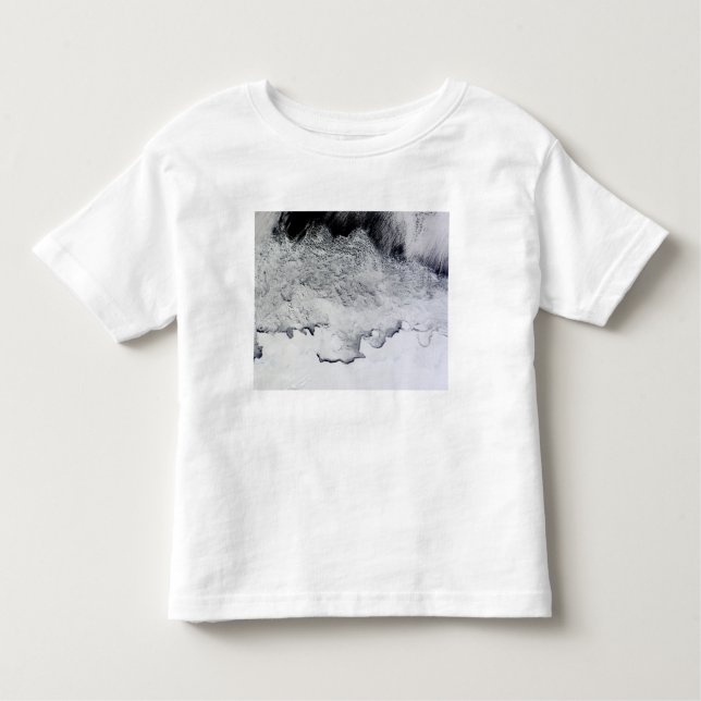Camiseta Infantil Banzare, Sabrina e Costas, Antártica (Frente)