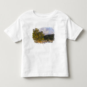 Camiseta Infantil Barcos de pesca, Soufriere, St Lucia, Caribe