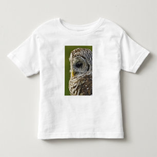 Camiseta Infantil Barred Owl, Strix varia, Michigan