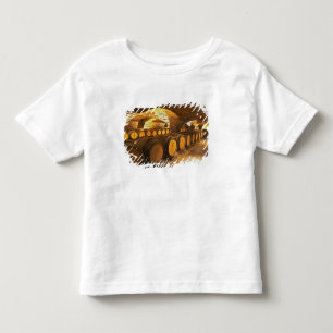 Camiseta Infantil Barricas de carvalho no porão do Domaine Comte
