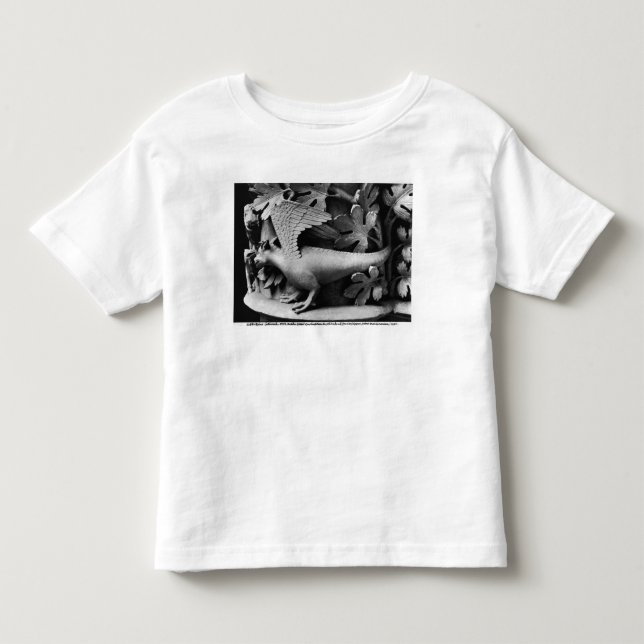 Camiseta Infantil Basilisk (Frente)