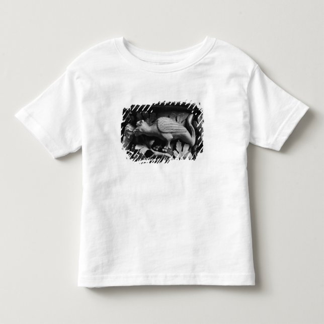 Camiseta Infantil Basilisk (Frente)