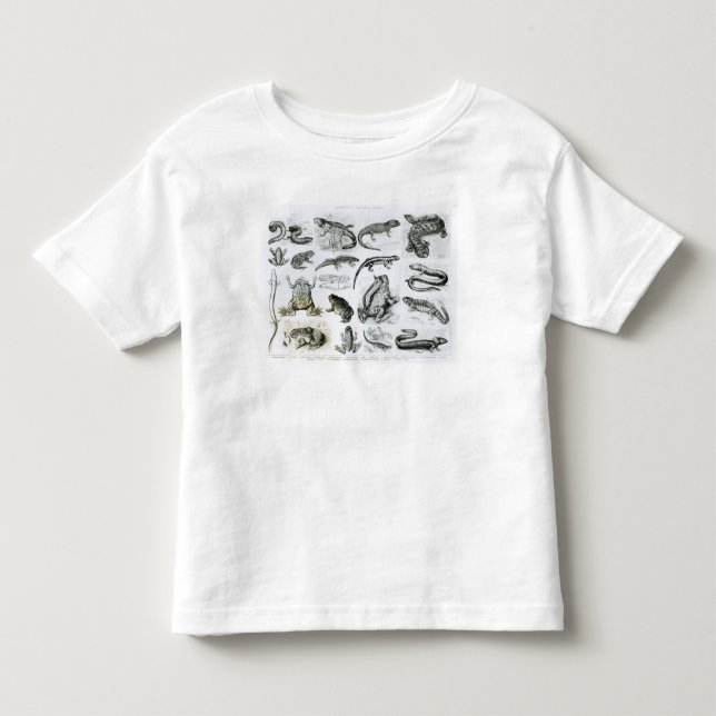Camiseta Infantil Batráquios e outros anfíbios (Frente)