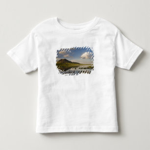 Camiseta Infantil Bear Butte se reflete no Bear Butte Lake perto