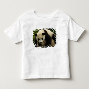 Camiseta Infantil Bebê da panda gigante (melanoleuca do Ailuropoda)