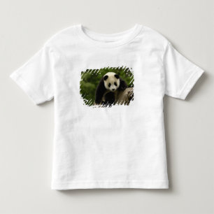 Camiseta Infantil bebê de panda gigante