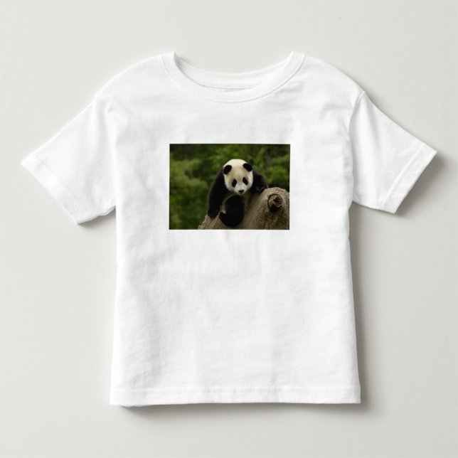 Camiseta Infantil bebê de panda gigante (Frente)
