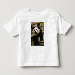 Camiseta Infantil bebê de panda gigante (Ailuropoda melanoleuca)