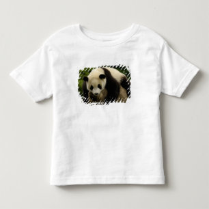 Camiseta Infantil Bebê de panda gigante (Ailuropoda melanoleuca)