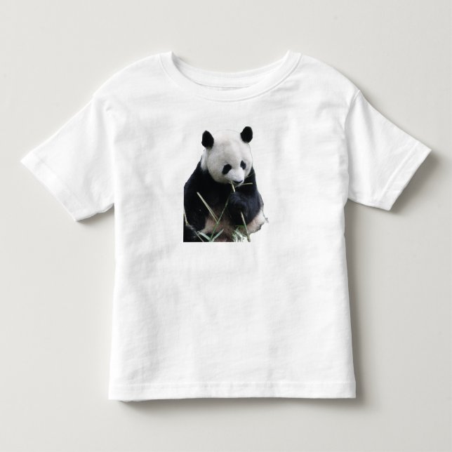 Camiseta Infantil Bebê Panda Fofo (Frente)