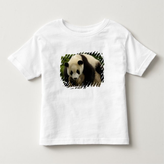 Camiseta Infantil Bebê panda gigante (Ailuropoda melanoleuca) (Frente)