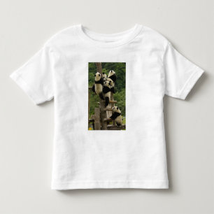 Camiseta Infantil bebês de panda gigante (Ailuropoda melanoleuca)