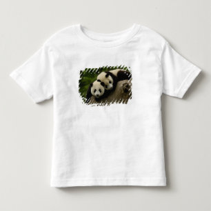 Camiseta Infantil bebês de panda gigante Ailuropoda melanoleuca)
