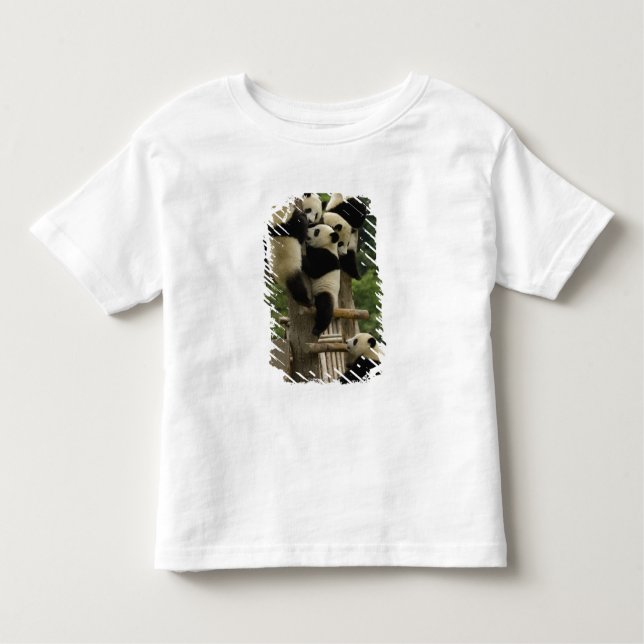 Camiseta Infantil Bebês panda gigantes Ailuropoda melanoleuca) (Frente)