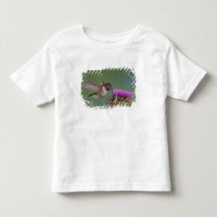 Camiseta Infantil Beija-flor-de-cauda-larga, Selasphorus