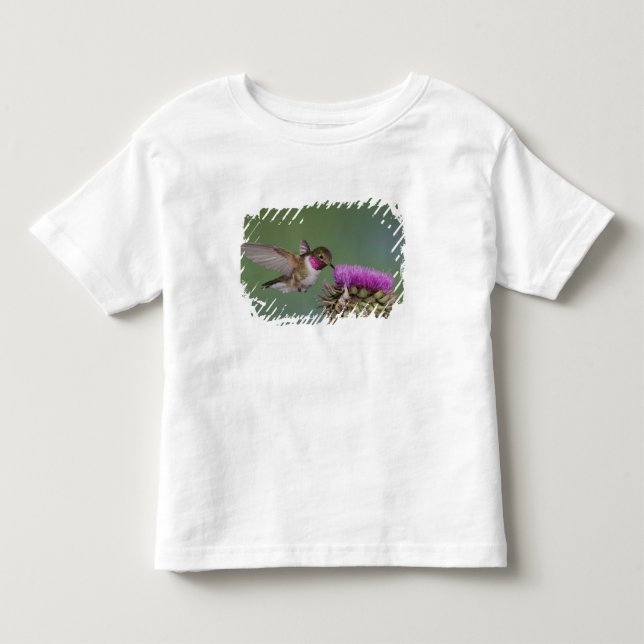 Camiseta Infantil Beija-flor-de-cauda-larga, Selasphorus (Frente)