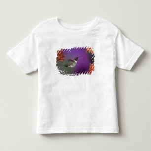 Camiseta Infantil Beija-flor-de-garganta-preta, Archilochus alexandr
