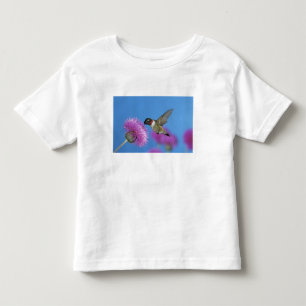 Camiseta Infantil Beija-flor-de-garganta-rubi