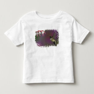 Camiseta Infantil Beija-flor-de-garganta-rubí-macho