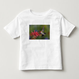 Camiseta Infantil Beija-flor-de-garganta-rubra macho